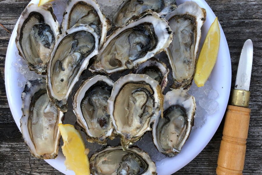 cynk w ostrygach na wzrok